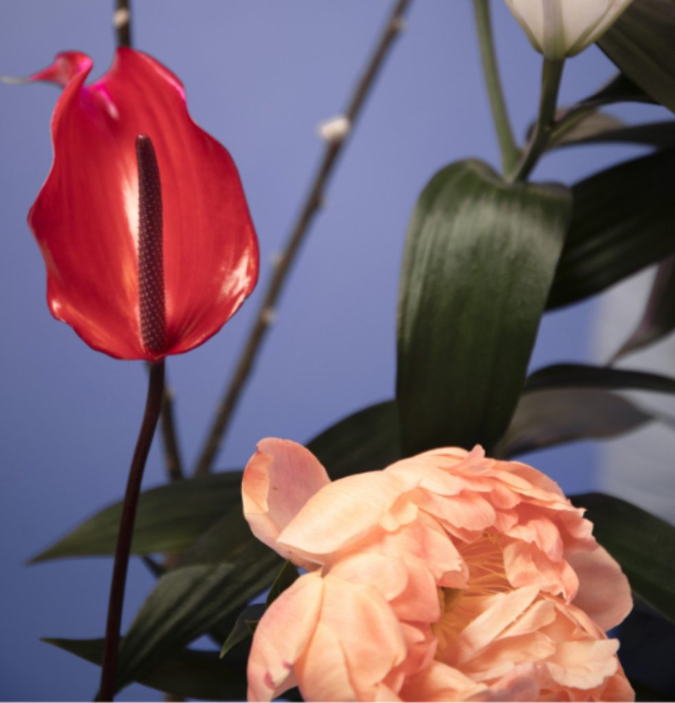 Lookbook Blue Hour